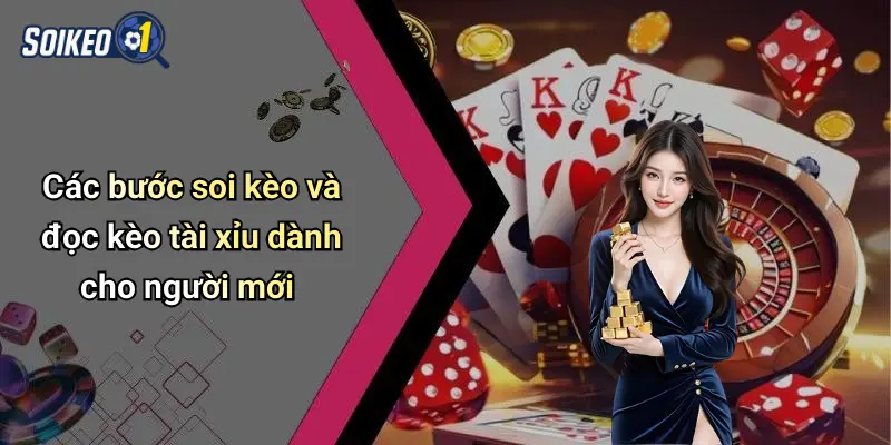 Các bước soi kèo và đọc kèo tài xỉu dành cho người mới