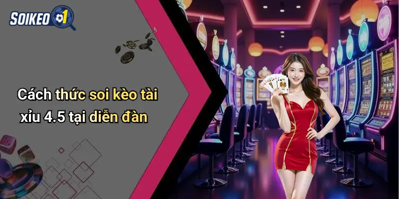 Cách thức soi kèo tài xỉu 4.5 tại diễn đàn