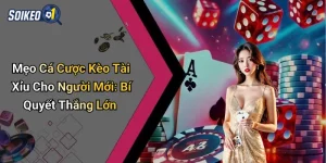 Mẹo Cá Cược Kèo Tài Xỉu Cho Người Mới: Bí Quyết Thắng Lớn