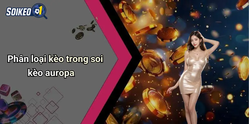 Phân loại kèo trong soi kèo auropa