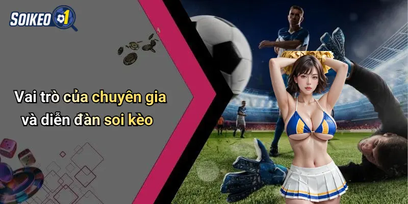 Vai trò của chuyên gia và diễn đàn soi kèo