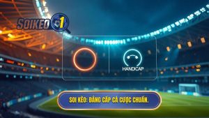 Nên chơi kèo bóng đá Tài Xỉu hay Handicap? Phân tích chuyên sâu từ chuyên gia