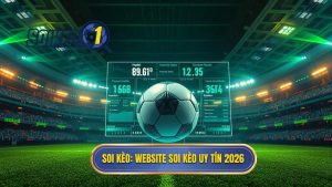 Top website soi kèo bóng đá uy tín nhất 2026: Cẩm nang chọn lựa cho bet thủ chuyên nghiệp