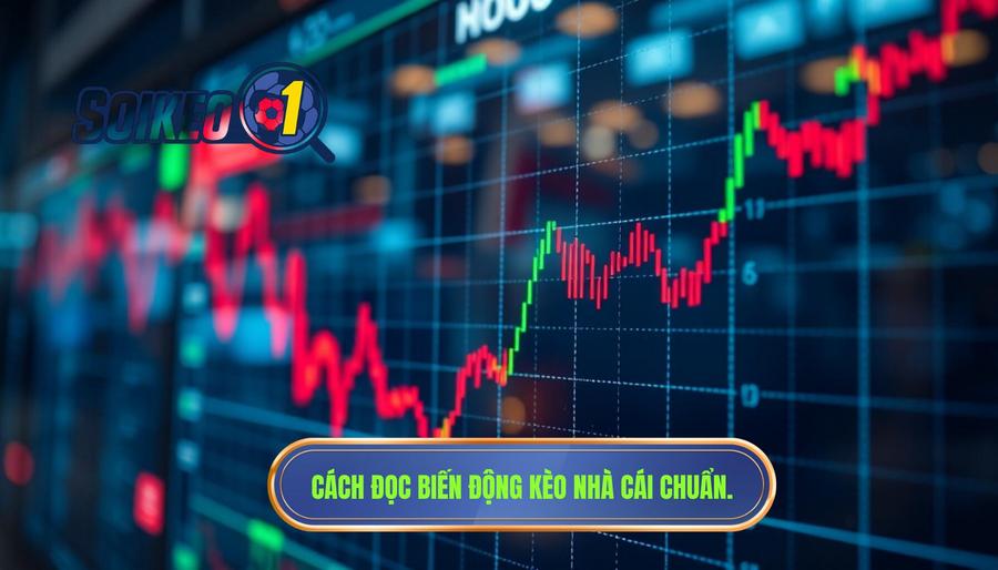 Hướng dẫn đọc biến động kèo nhà cái qua các dấu hiệu cụ thể