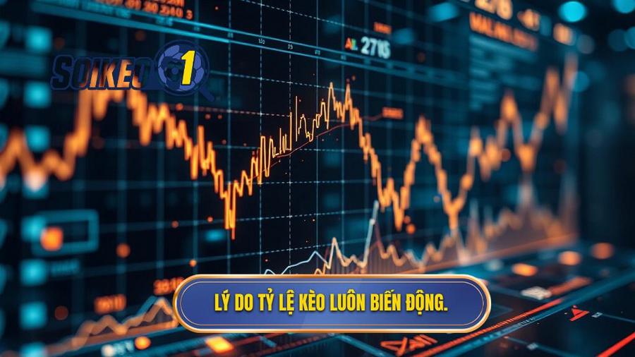 3. Lý do tỷ lệ kèo luôn biến động.